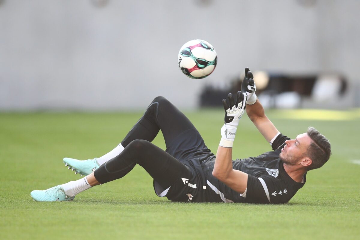 Η αποθέωση του ΠΑΟΚ στον Παβλένκα! (vids)