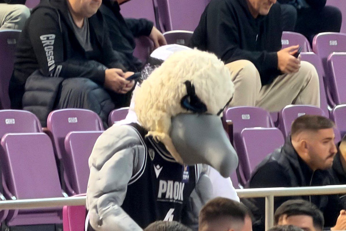 Η μασκότ του ΠΑΟΚ στο μπάσκετ ο ΠΑΟΚΑΡΑΣ στο Final 8 της Κρήτης