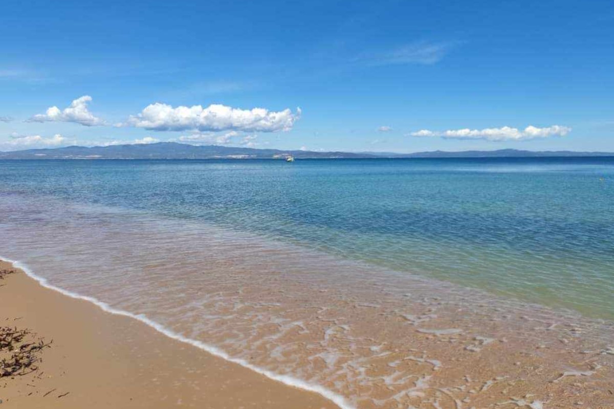 PAOK Today Live: ΠΑΟΚάρα φέρε μας το κύπελλο!