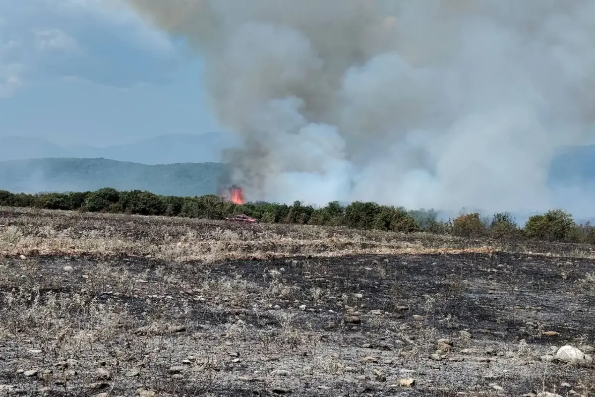 Φωτιά στην Πιερία: 46 πυροσβέστες και 4 αεροσκάφη επιχειρούν στη Βροντού